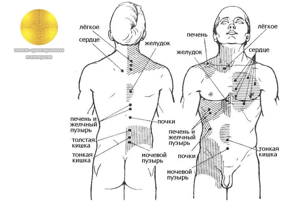 Точка проекции желчного пузыря. Схема расположения триггерных точек на теле человека. Рефлекторные зоны спины проекция внутренних органов. Болевые точки и зоны кожной гиперестезии при желчнокаменной болезни.