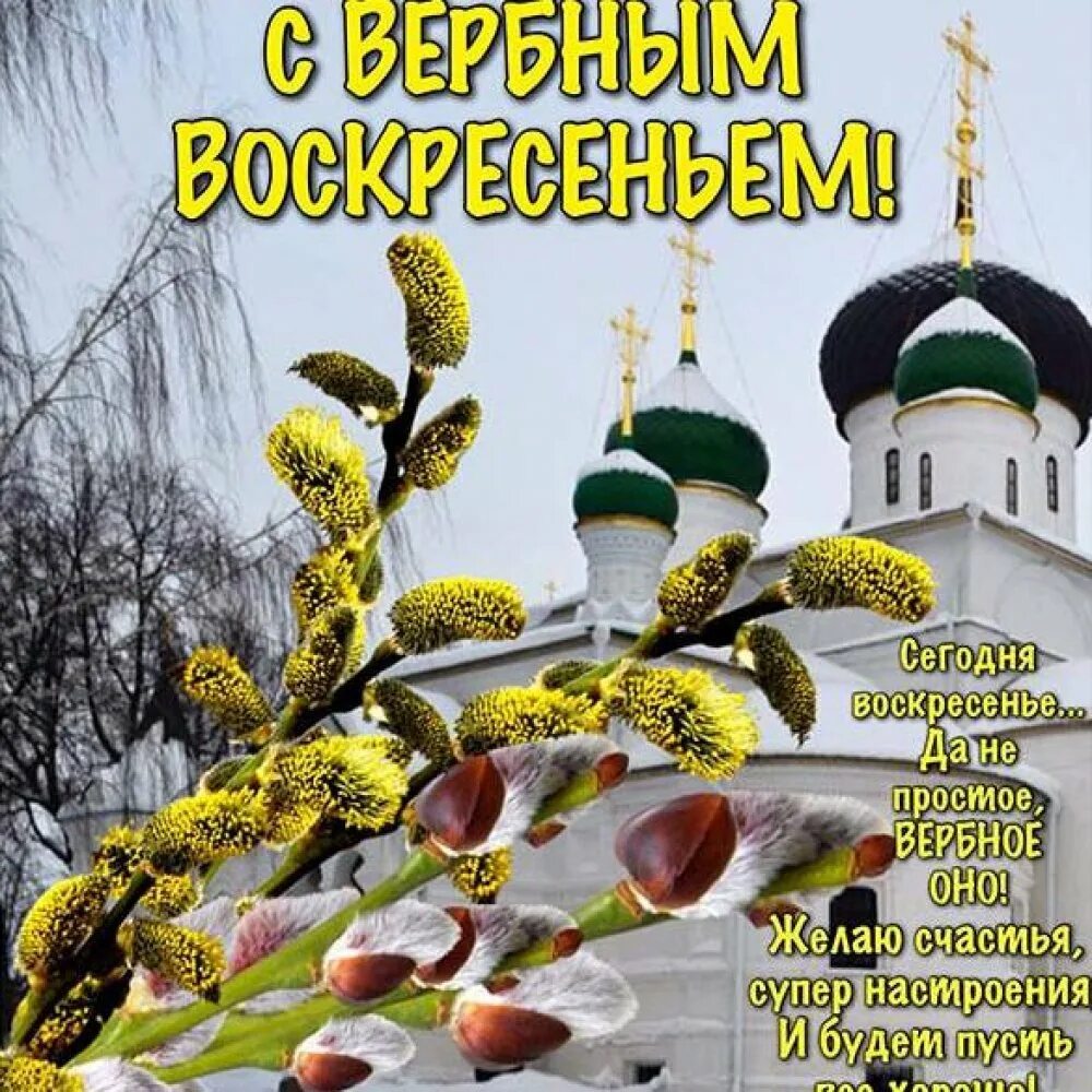 Поздравление с вербным воскресным. Вербное воскресенье поздравления. поздравить с вербным воскресеньем. с вербным воскресеньем красивые поздравления. с вербным воскресеньем открытки.