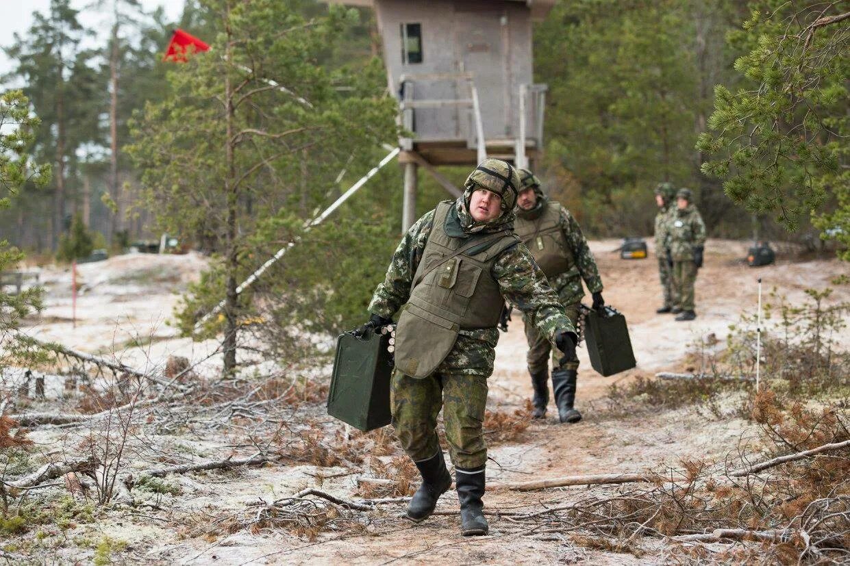 Финское пво. ПВО Финляндии. Финские Партизаны. ПВО финской армии современной. Партизанская воинская часть.