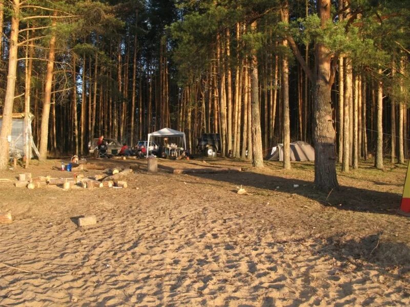 Турбаза сосенки самара. Турбаза сосенки. Сосенки турбаза владимирская. Сосенки святогорск. Турбаза сосенки самара.