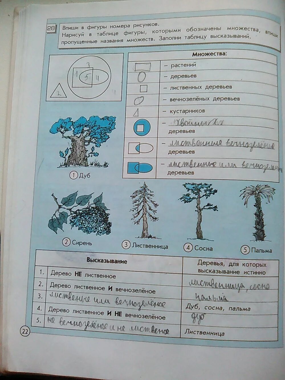 22 4 информатика. Информатика 4 класс 2 часть страница 22 номер 28. Впиши в фигуры номера рисунков. Нарисуй в таблице фигуры которыми обозначены множества впиши. Рабочая тетрадь по информатике 4 класс 28 страница.