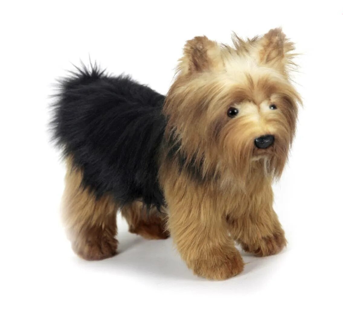 Maxitoys йоркширский терьер. Йоркширский терьер. Мягкая игрушка йоркширский терьер. Йоркширский терьер, 38 см высота 25 см, длина 38 см, hansa. Плюшевый йоркширский терьер.