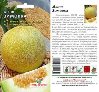 Дыня алтайская описание отзывы