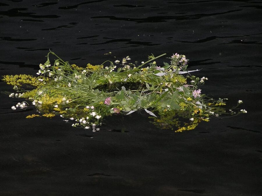 И плывет цветочек вдоль ночной. Венок на воде. Венки плывут по реке. Венок плывет. Венок на воде Эстетика.