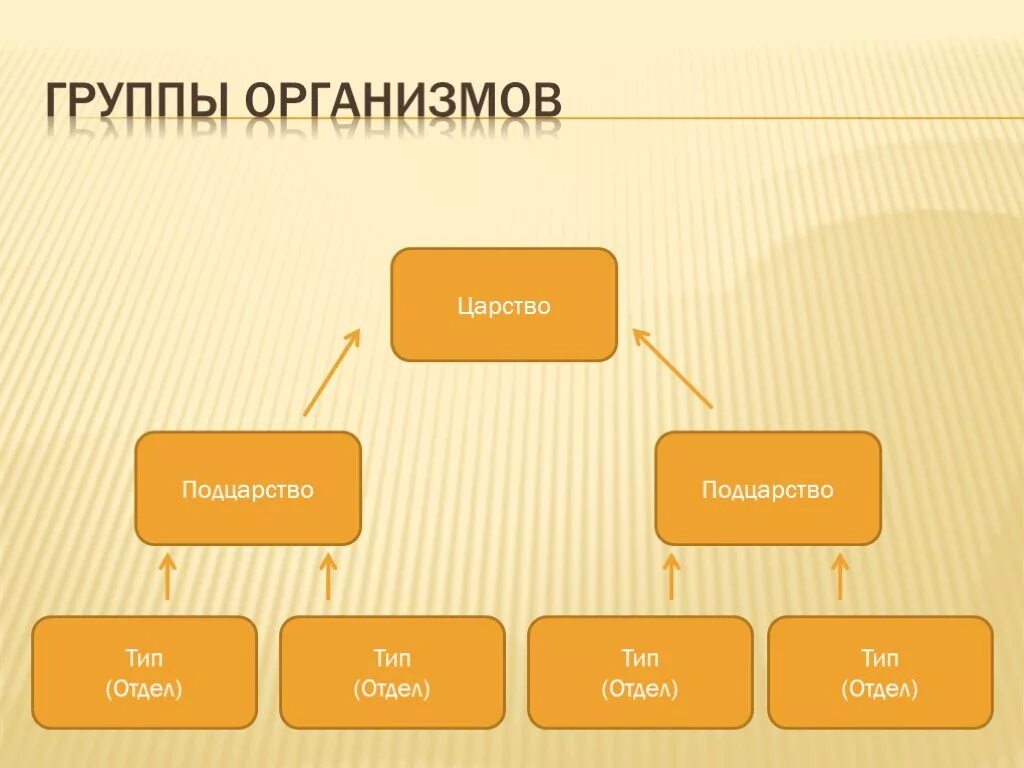 Как называется данная группа организмов