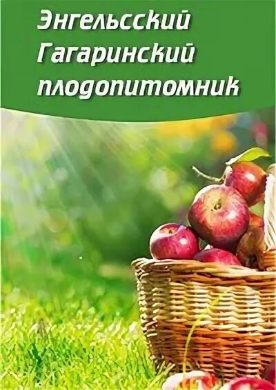 Плодопитомник гагаринский в энгельсе каталог. Энгельсский Гагаринский Плодопитомник. Саженцы Гагаринского плодопитомника. Гагаринский питомник саженцы Энгельс. Гагаринский Плодопитомник каталог саженцев.