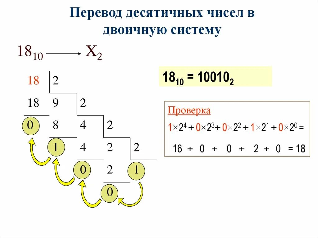 Переведи данное десятичное число в двоичную. Из десятичной в двоичную систему. Числа в двоичной системе. Перевести из двоичной в десятичную. Как перевести число в двоичную систему.