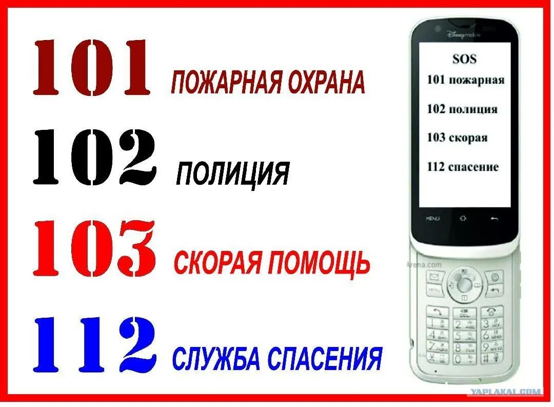 С мобильного на стационарный симферополь. Как вызвать милицию с мобильного. Вызов полиции с сотового. Как позвонить в полицию с сотового. Какипозаанить в полицию.