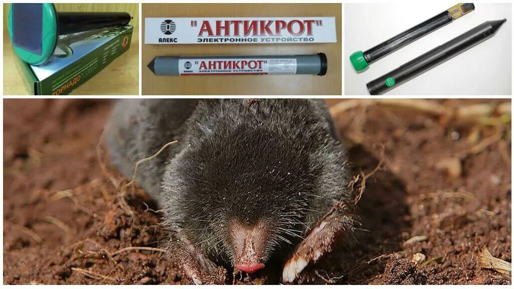 Как избавится от картов таро