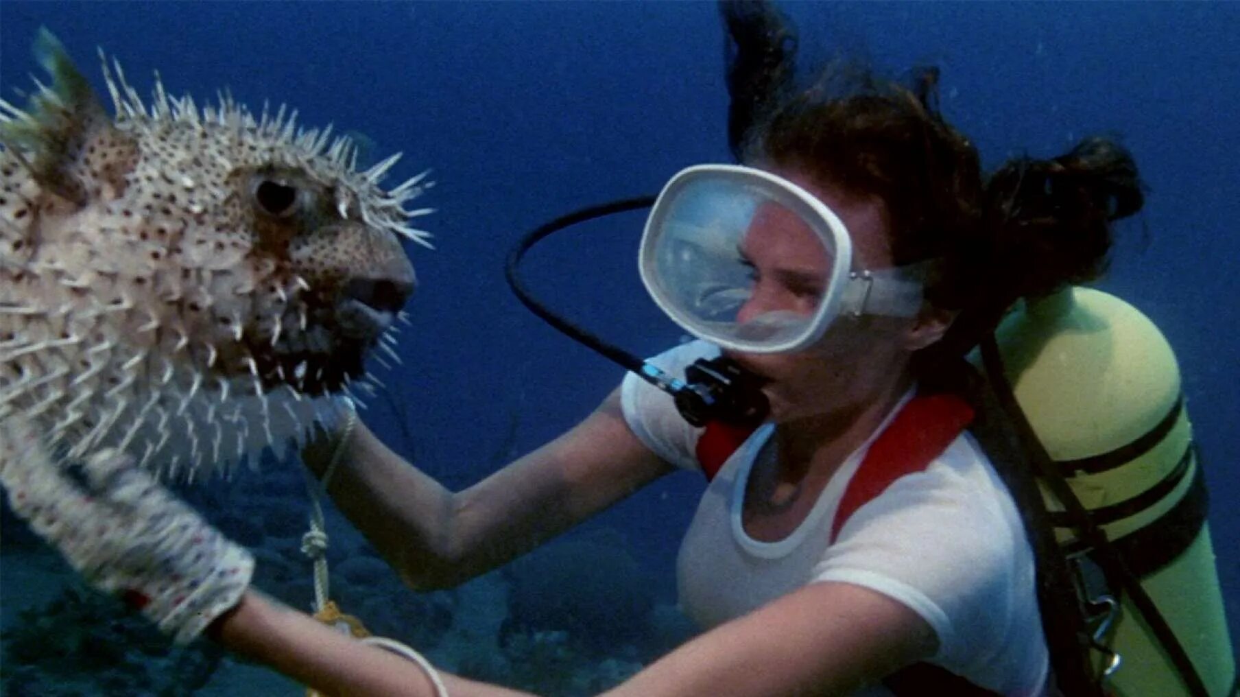 Deep movie. Бездна / the Deep. Великобритания, США, 1977.