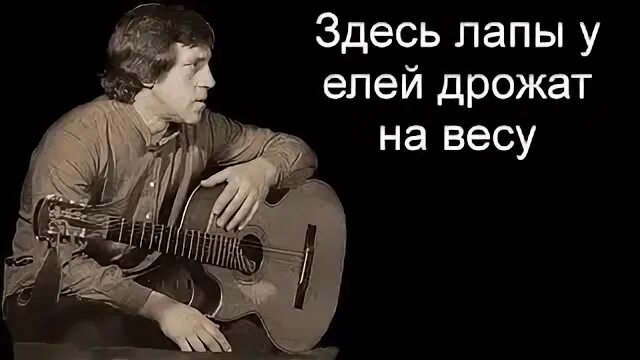 Здесь лапы дрожат на весу