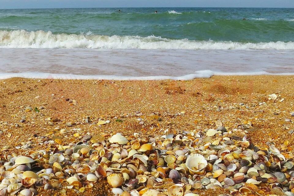 Цифровые фотографии пляжей Азовского моря Дары природы Фотогалерея природы на gr