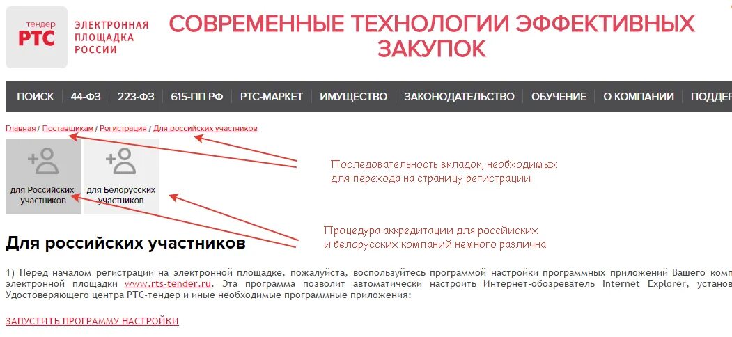 Как получить тендер. Ртс тендер. ртс тендер электронная торговая площадка. ртс тендер торги. что такое номер тендера.