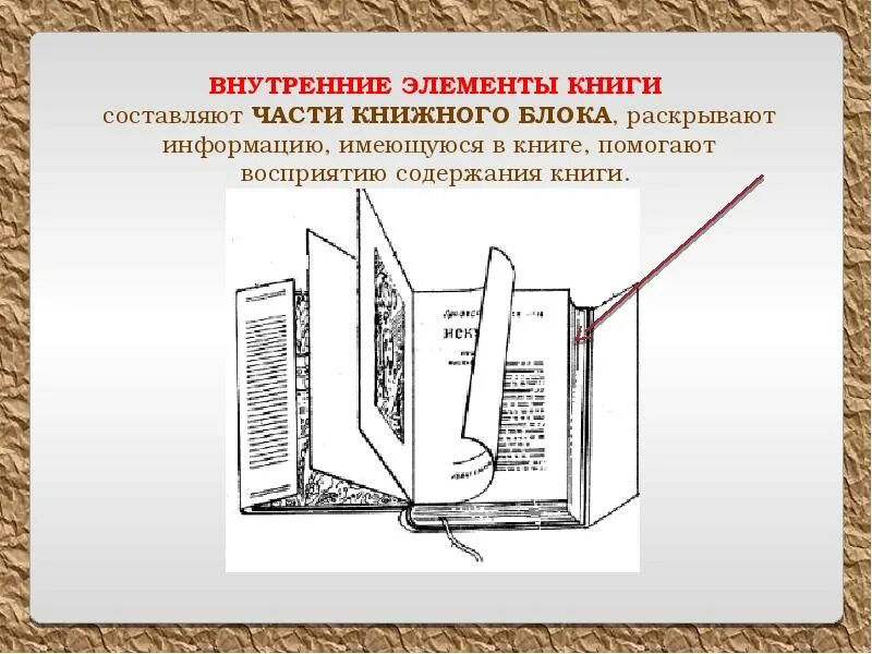 Внутреннее строение книги. Анатомия книги из чего состоит книга. Структура и основные элементы книги. Структура книги 2 класс схема.