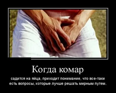 Все таки есть заметил что
