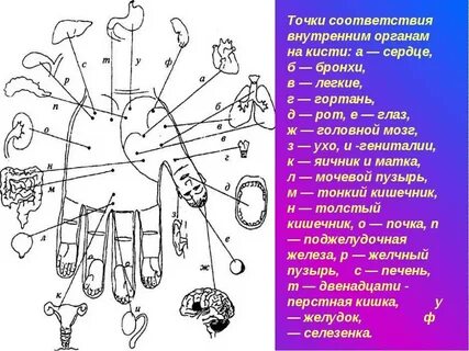 На руке органы тела человека