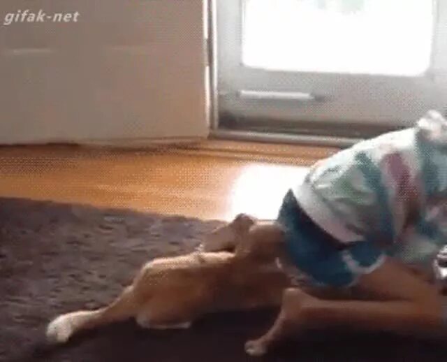 Суки полная версия фото. Polen duo we jerk on bed. "им лет" "со звуком-умора". Вк им лет по со звуком умора. Видеозаписи "без названия".