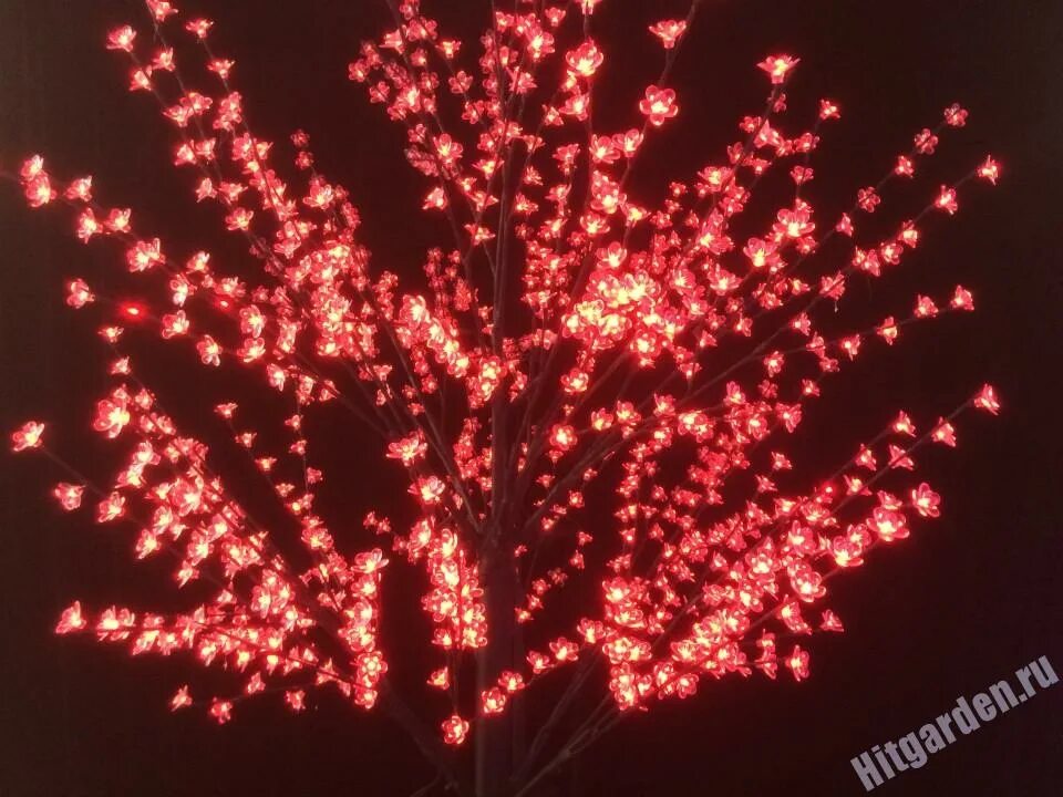 Красное светящееся дерево. Красное светящееся дерево. Светящееся дерево. Дерево светодиодное сакура 45 см. Светодиодное дерево 150 см.