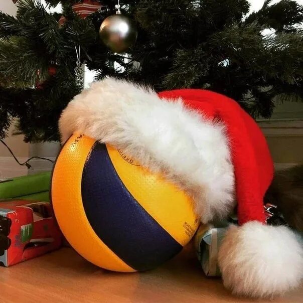 мяч дед мороз для собак. баскетбольный мяч новый год. дед мячик. мячик новогодний. мячик дед мороз.