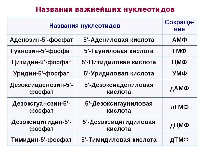 Названия нуклеотидов таблица. Номенклатура нуклеозидов и нуклеотидов. Классификация и номенклатура нуклеотидов. Номенклатура нуклеотидов таблица. 14 полное название