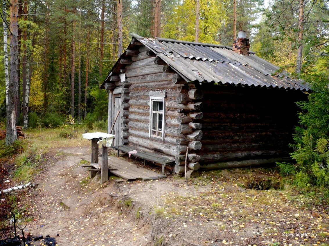 Из лесу из за дома лесничего. Романов остров Верхнетоемский район деревня. Цюрупинский Сосновый лес дом лесника. Избушка в лесу. Домик лесника.