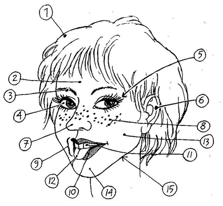 Fill in the face