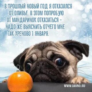 С 1 рабочим годом