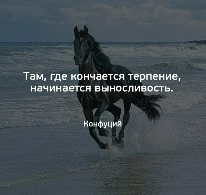 Когда начинается и заканчивается. Там где кончается терпение. терпение закончилось. там где кончается терпение начинается выносливость конфуций. там где заканчивается терпение начинается выносливость.