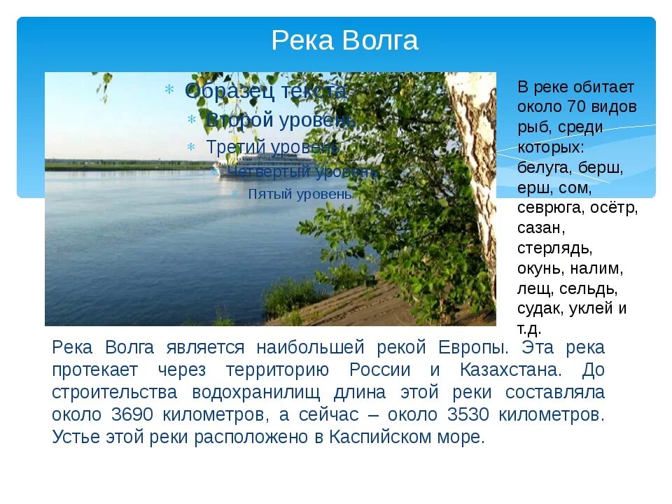 Реки россии информация. Волга река. Описание Волги. Рассказ о реке Волге. Река Волга презентация.