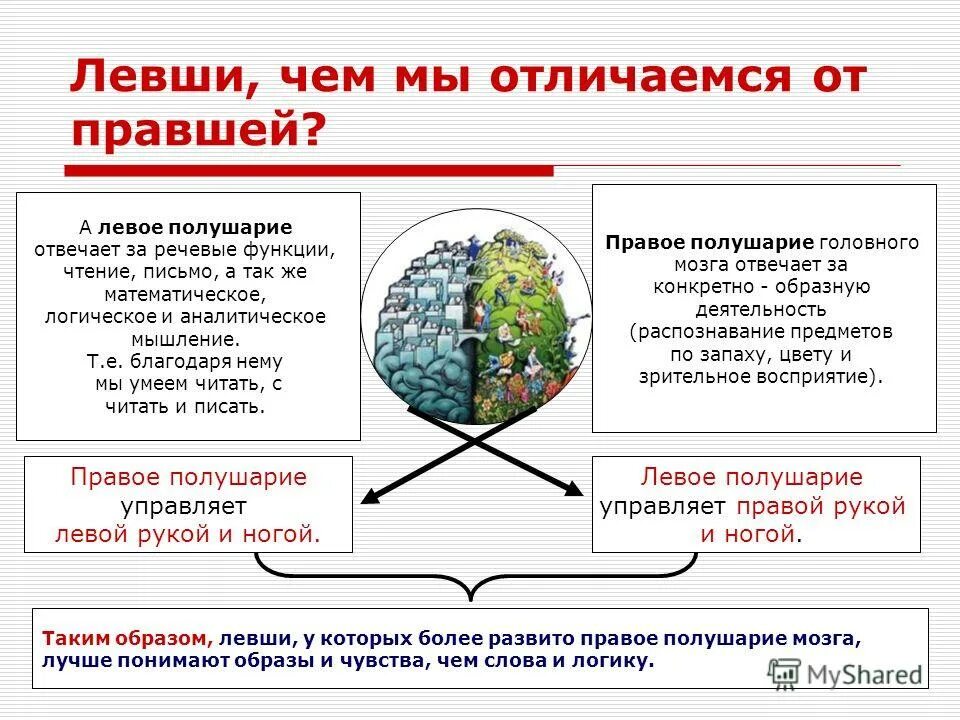 мозг левши и правши. левое и правое полушарие мозга. развитые полушария мозга. функции правого полушария. левша правое полушарие.
