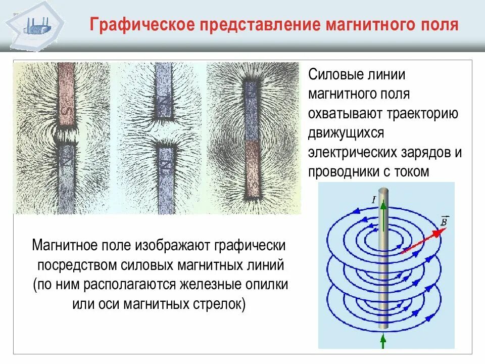 Какое направление имеет магнитная линия проходящая. Линии магнитной индукции прямого проводника. Магнитные силовые линии магнитов. Магнитное поле магнита силовые магнитные линии. Характеристика силовых линий магнитного поля.