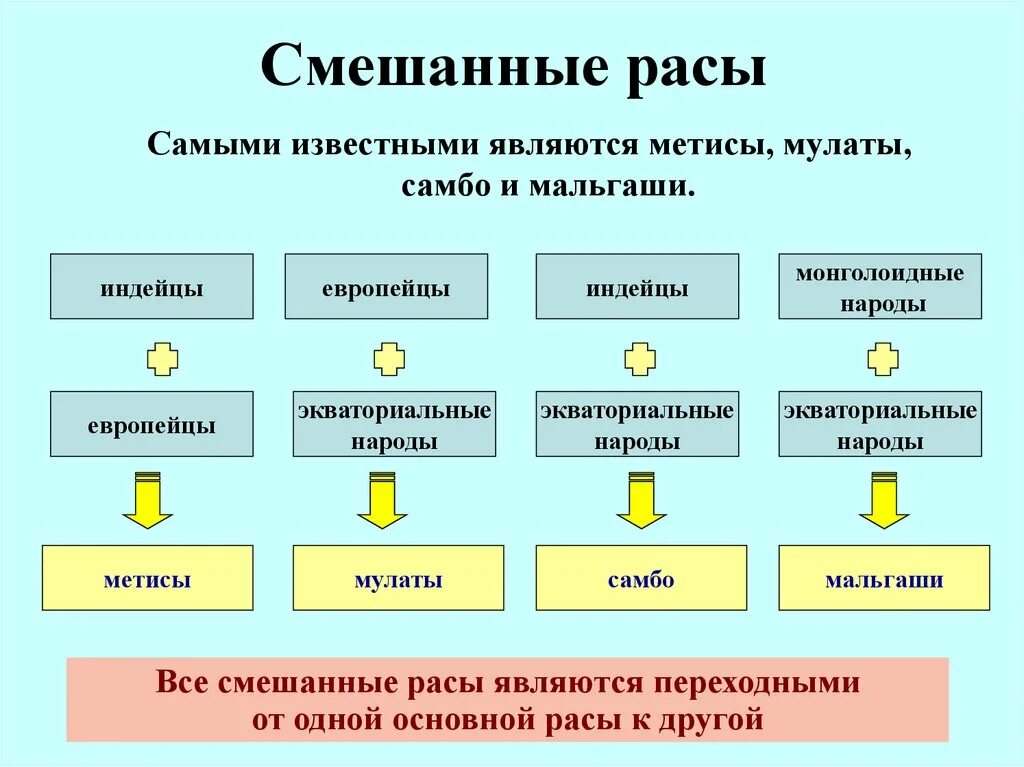 Креолы это смесь каких рас. Смешанные расы. Названия смешанных рас. Смешанные расы людей названия. Расы смешанные расы.