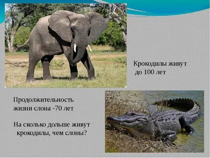 Какие долго живут