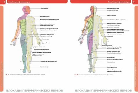 Нервная блокада