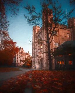 Princeton university