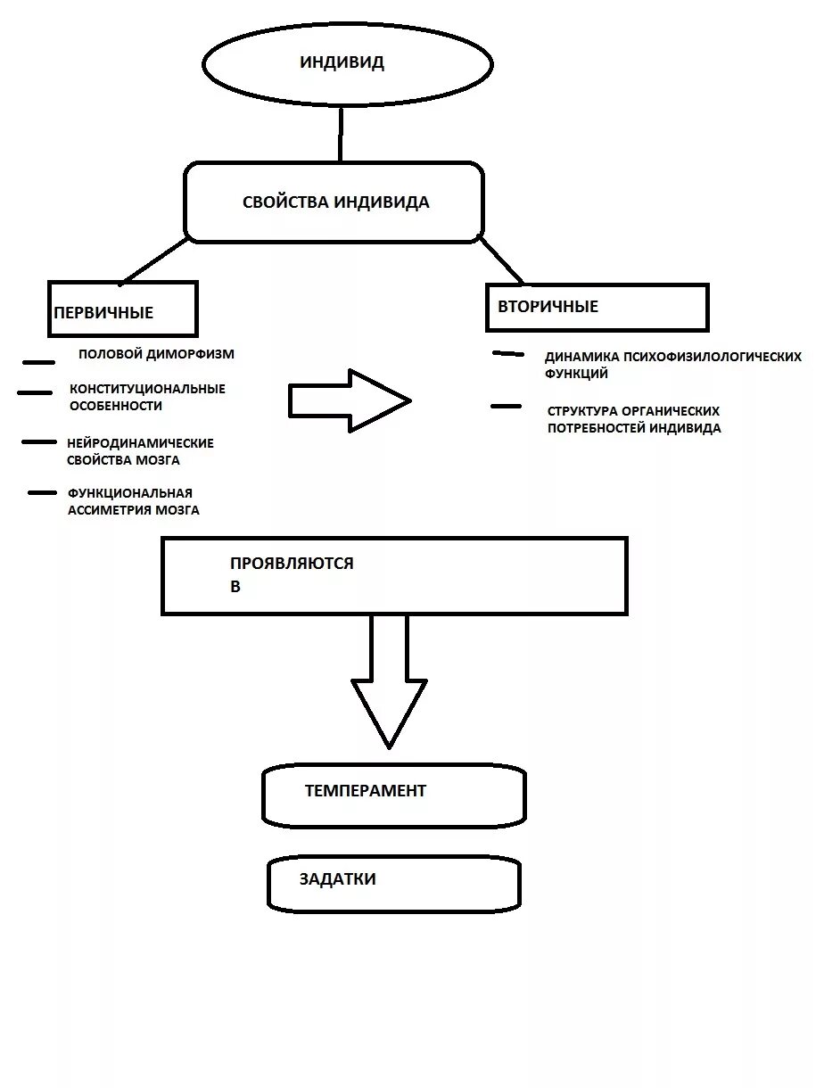 К признакам индивида относится. Схема индивидных свойств человека по Ананьеву. Характеристики индивида. Характеристики индивида в психологии. Первичные и вторичные свойства индивида.