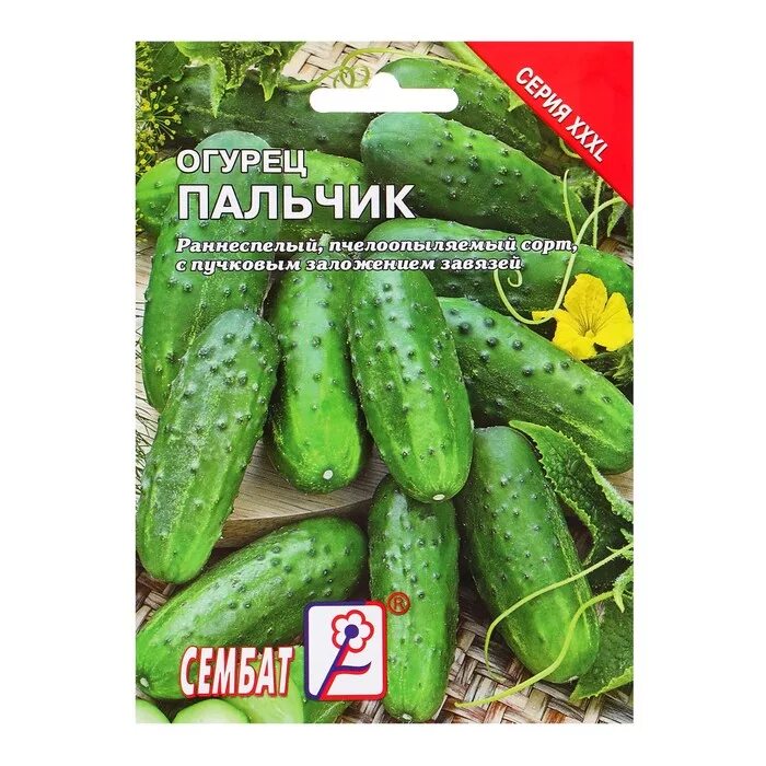 Мальчик с пальчик огурцы описание. Сорт огурцов с пальчик. Манул огурец мальчик с пальчик. Сорт огурцов мальчик с пальчик. Огурцы струмок f1.