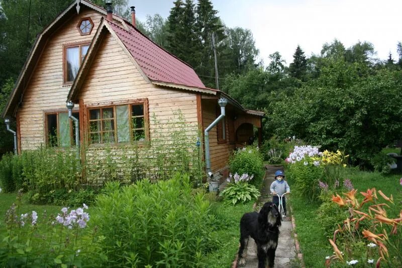 Купить дачу в новинке. Подмосковные дачи. Дача в Подмосковье. Красивые дачи простых людей. Дача Новорижское шоссе.