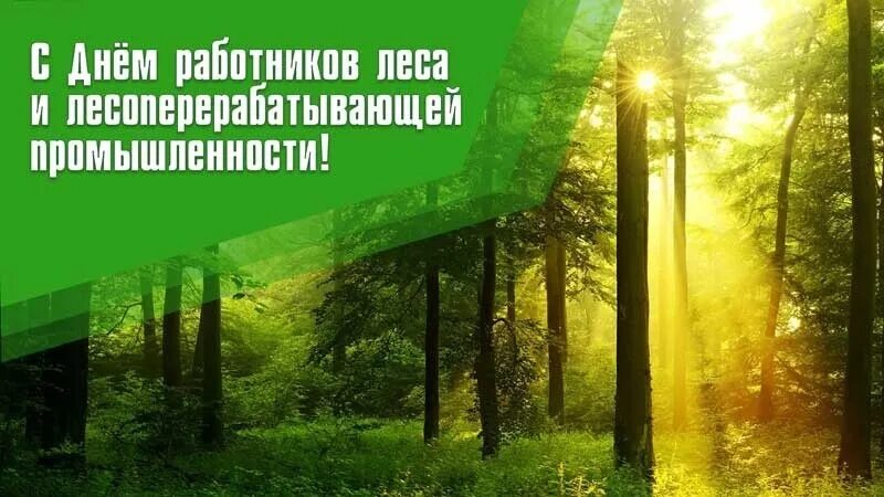 С Днем работников леса!