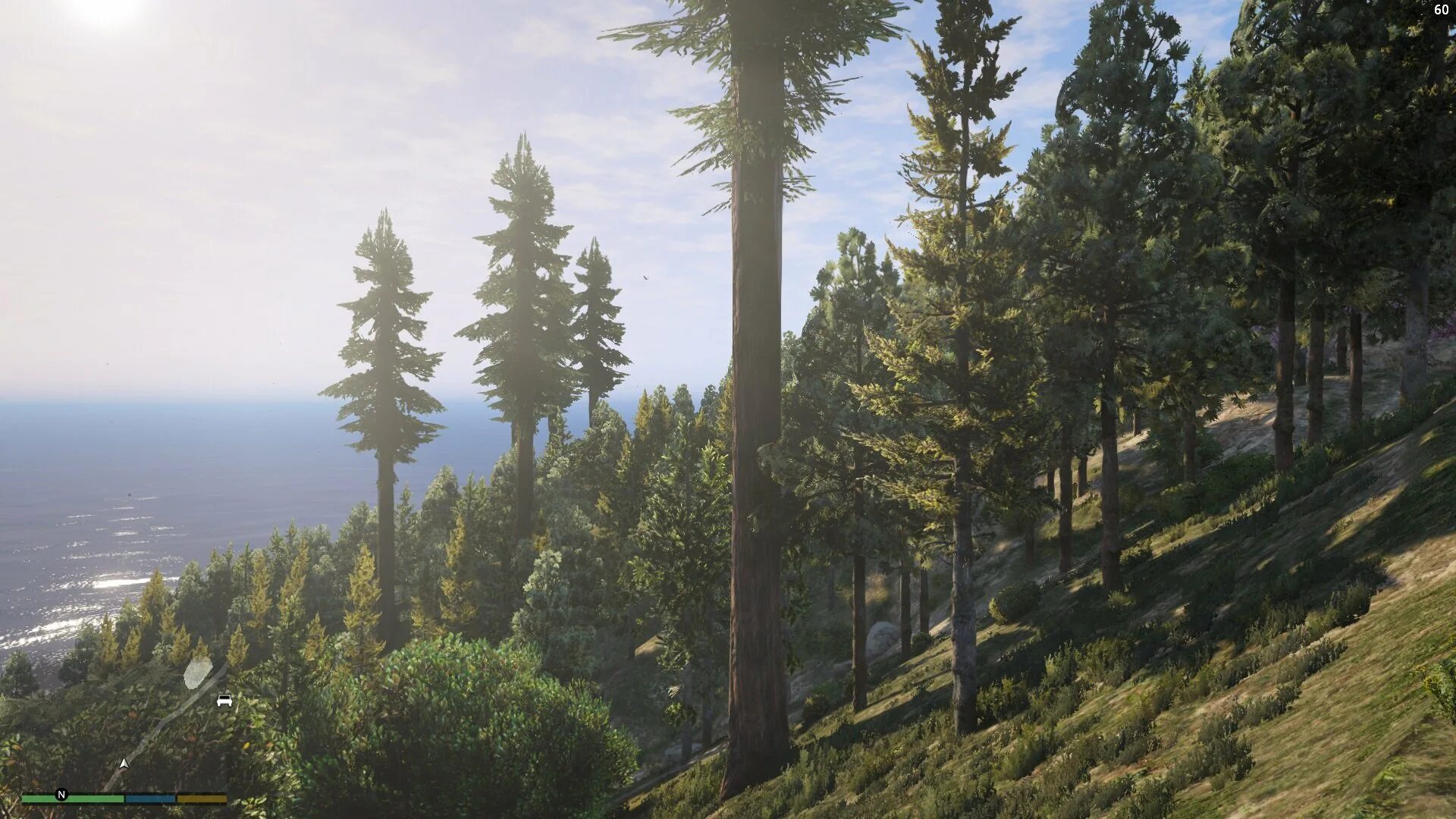 Где трава гта 5. ГТА 5 лес. Леса в ГТА 5. GTA 5 Forest. Лес ГТА 5 РП.