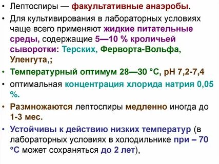 Правило 3 факультативная
