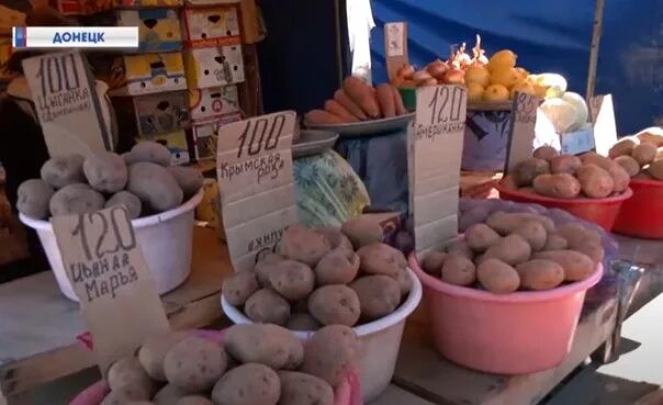 Стоимость картошки по годам. Рост цен на картофель. Потребление картофеля в россии. График урожайности картофеля. Динамика цен на картофель.