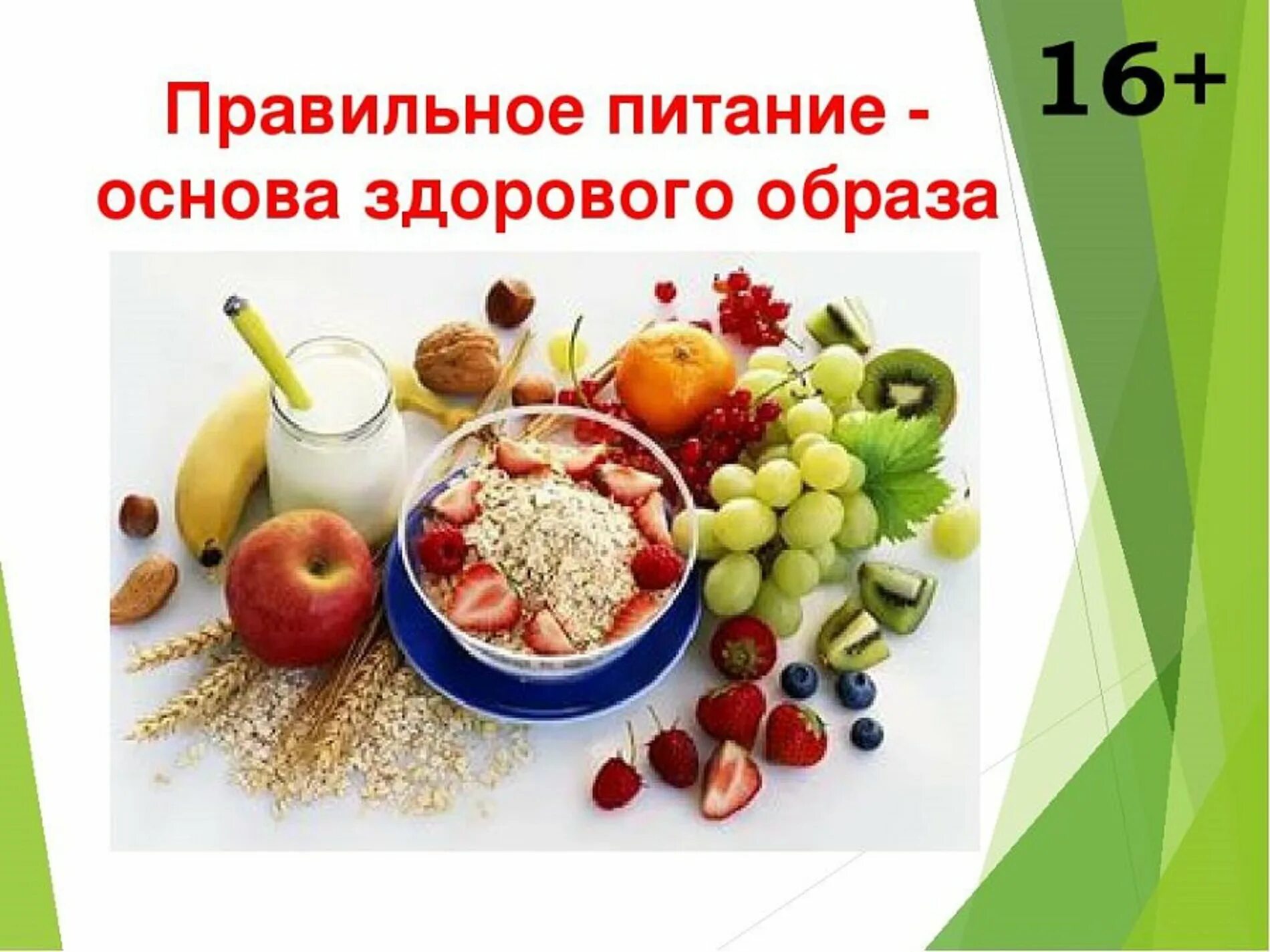 Здоровое питание. Основы правильного здорового питания. Здоровое рациональное питание. Правильное питание основа здоровья.