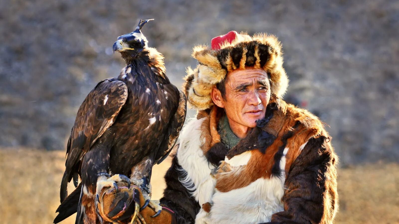 Алтайский охотничий