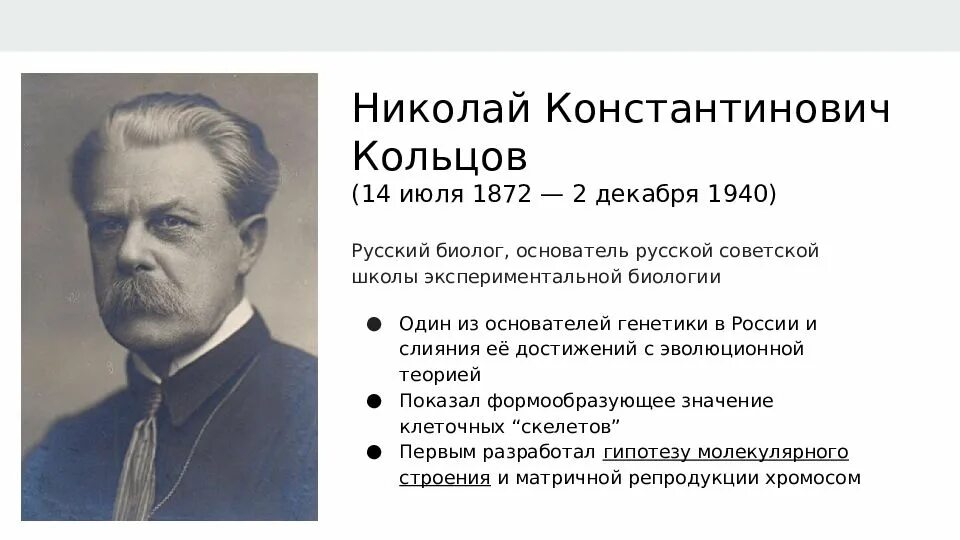 Фамилии генетика. Вклад Николая Константиновича Кольцова в развитие генетики..