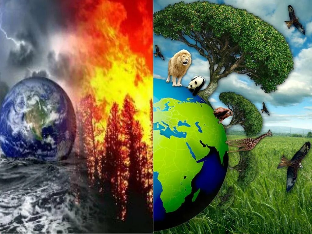 Разрушать окружающую среду. Природа в опасности. Экология земли. Природа экология. Защита природы.