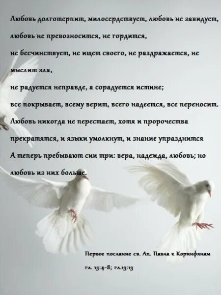 Любовь долготерпит милосердствует любовь не превозносится. Любовь долготерпит современным языком. Фото с ангелами любовь долготерпит Милосердие не завидует.