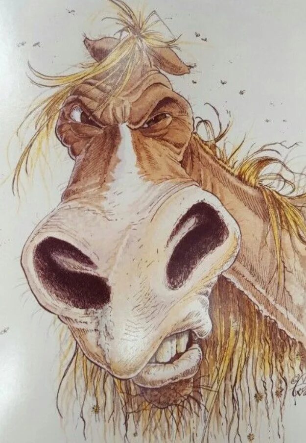 Жрешь как лошадь мужское. Лошадь карикатура. Смешная лошадь. Смешной конь нарисованный. Прикольная лошадь рисунок.