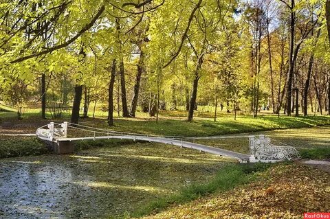 Александровском сквере