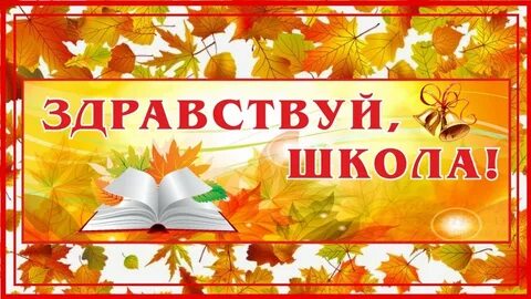 Здравствуй школа книга
